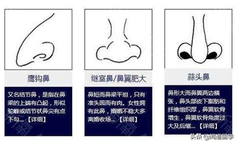 鼻子看面相|相面实战（快准狠）相鼻篇